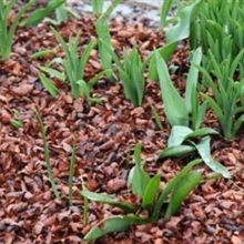 Gartenzubehör